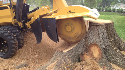 stump grinder in action Fulford
